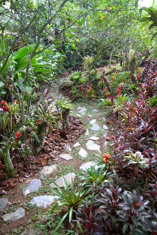 El Jardin De Los Colibries - Pereira, Risaralda Exterior photo